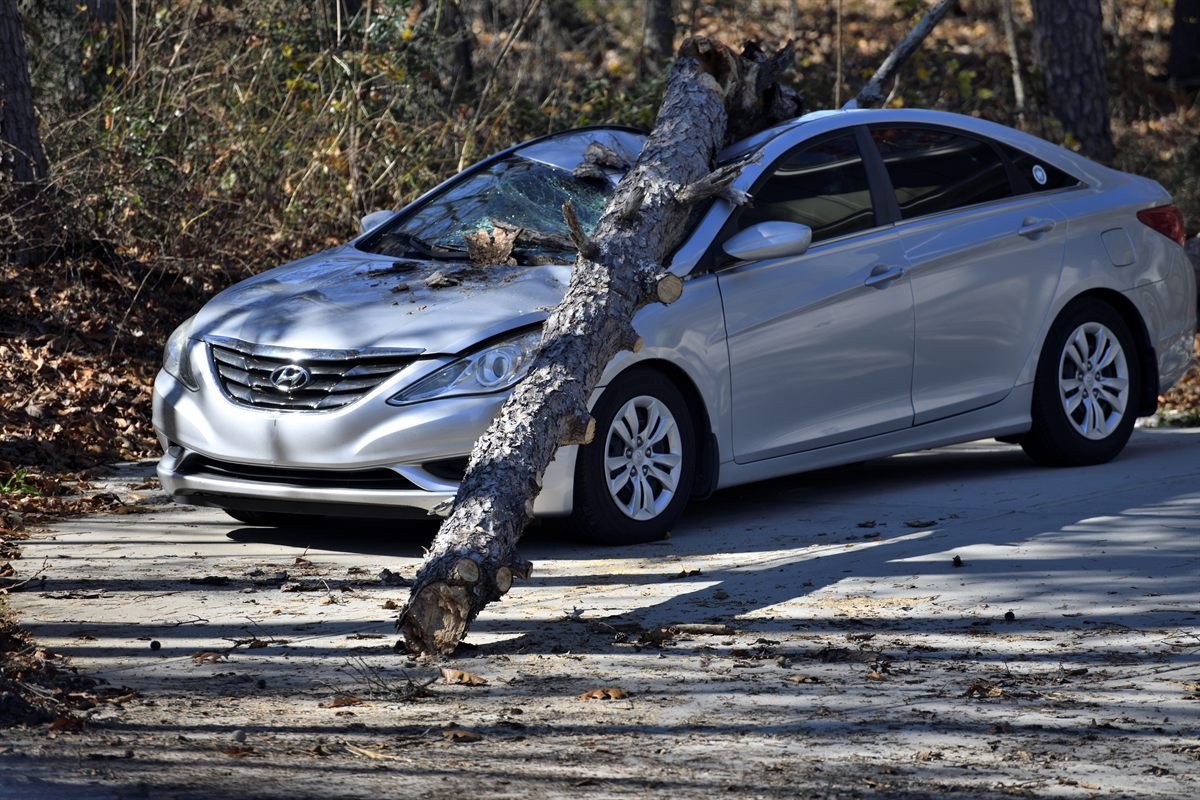 Carro danificado por queda de árvore — sinistro de veículo